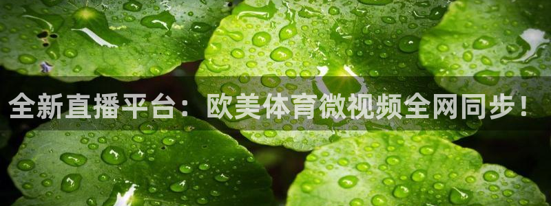 咪咕视频体育直播app下载：全新直播平台：欧美体育微视频全网同步！