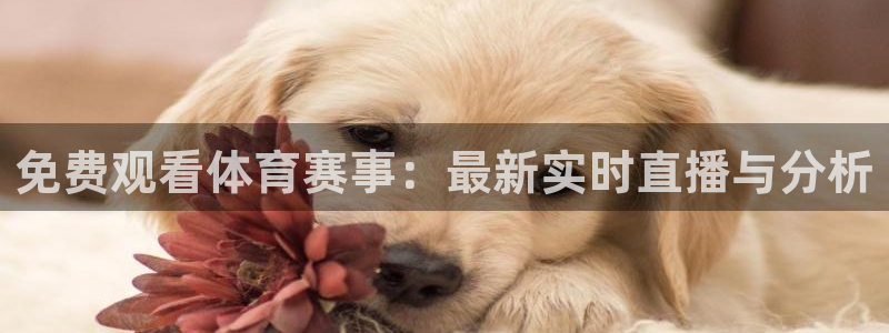 咪咕视频直播：免费观看体育赛事：最新实时直播与分析