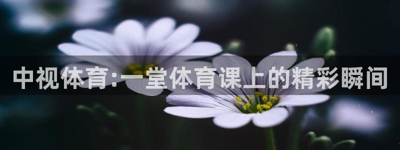 咪咕视频体育直播免费观看：中视体育:一堂体育课上的精彩瞬间