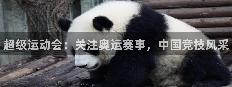 咪咕体育直播在线看：超级运动会：关注奥运赛事，中国竞技风采