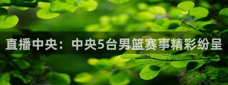 下载咪咕体育视频：直播中央：中央5台男篮赛事精彩纷呈